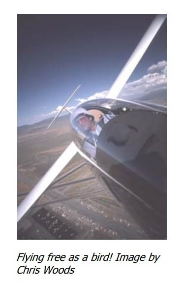 free as a bird soaring Free As A Bird Soaring