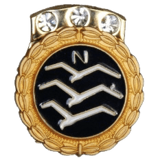 FAI Diamond Badge Fai Diamond Badge soaring badges